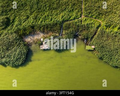 Luftaufnahme von mit Schilf umsäumten Fischerstegen und einem kleinen Boot am Balaton bei Balatongyorok, Ungarn, mit hölzernen Stegen, grünem Wasser und einem Sommer Stockfoto