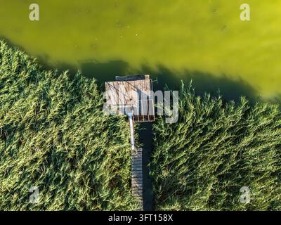 Luftaufnahme eines hölzernen Fischerstegs zwischen Schilfgürteln am Ufer des Balaton in Balatongyorok, Ungarn, mit grünem Wasser und einem schmalen Steg Stockfoto