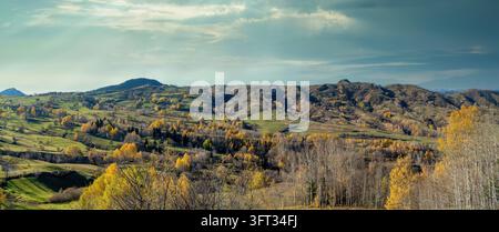 Wellige Hügel von Artvin, Türkei, in einer Herbstpanorama mit gelben Birkenhainen, grünen Weiden und Sonnenstrahlen, die durch dramatische Wolken über dem fallen Stockfoto