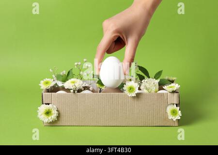 Weibliche Hand hält ein Ei auf grünem Hintergrund mit Eierkarton mit Eiern und Blumen Stockfoto
