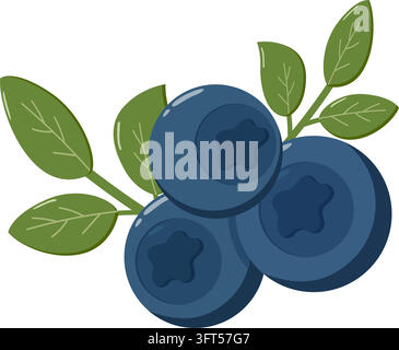 Blaubeeren mit grünen Blättern, tiefblauer Farbe und sternförmigen Spitzen, perfekt für Lebensmitteldesign, Verpackung Stock Vektor
