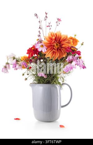 Strauß bunter Dahlien- und Kosmeienblüten in einer Keramikkanne isoliert auf weißem Hintergrund Stockfoto