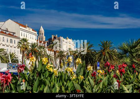 Diokletians Palast in Split, Kroatien, gesehen entlang der Hauptstraße der Stadt mit bunten Blumen im Vordergrund. Der historische Palast ist einer der Mo Stockfoto