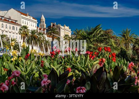 Diokletians Palast in Split, Kroatien, gesehen entlang der Hauptstraße der Stadt mit bunten Blumen im Vordergrund. Der historische Palast ist einer der Mo Stockfoto