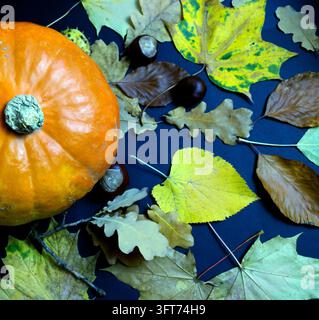 Oberansicht eines orangefarbenen Kürbisses, umgeben von bunten gefallenen Blättern und Kastanien auf einem dunkelblauen Hintergrund. Lebendiger Herbst-Flachlay mit saisonalen Elementen. Stockfoto