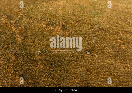 Luftbild eines Zentrumswendelorberungssystems in einem weitläufigen landwirtschaftlichen Feld in Settlers, Limpopo, Südafrika. Stockfoto