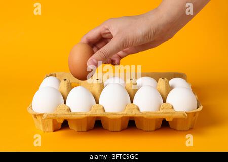 Weibliche Hand hält ein Ei über eine Eierbox mit Eiern auf orangefarbenem Hintergrund Stockfoto