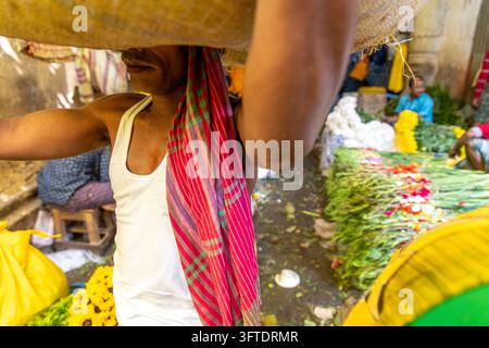Niedrigwinkelaufnahme eines Arbeiters, der eine schwere Last neben grünen Stängeln und gelben Blumen auf dem Blumenmarkt in West Bengal, Kalkutta, Indien balanciert Stockfoto