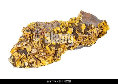 Wulfenit-Mineralstein auf weißem Hintergrund im Nahaufnahme Stockfoto