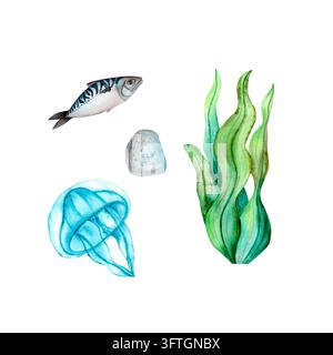 Ein Set mit einem Fisch, einer Qualle, grünen Algen und Kieselsteinen. Dies sind handgemalte Aquarellillustrationen, die auf einem weißen Hintergrund erstellt wurden. Geeignet Stockfoto