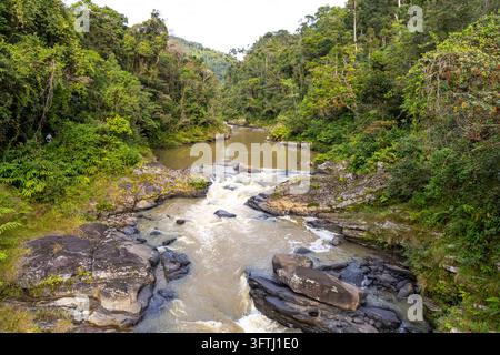 Flussrapiden, die über Felsen in einem dichten tropischen Regenwald fließen, Haute Matsiatra, Ranomafana, Madagaskar Stockfoto
