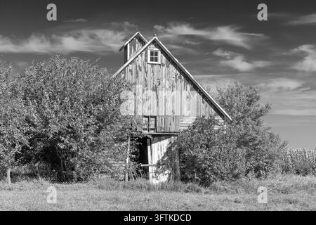 Eine antike Holzbarn in Henderson County, Illinois im Herbst. Stockfoto