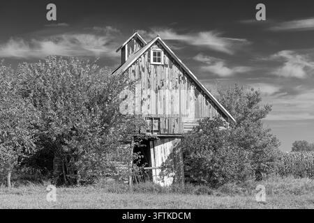 Eine antike Holzbarn in Henderson County, Illinois im Herbst. Stockfoto