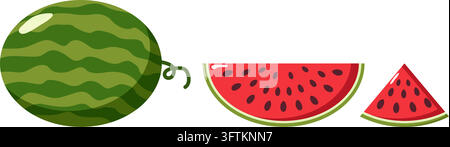 Wassermelonen-Illustration, die ganze Frucht, eine halbe Scheibe und einen dreieckigen Keil zeigt, mit lebhaftem rotem Inneren mit Samen und gestreifter grüner Schale Stock Vektor