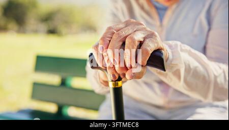 Hund, Entspannung und Hände einer alten Frau auf einer Parkbank bei Osteoarthritis, Ruhestand und Frieden mit Platz. Gehstock, Mobilitätshilfe und Gleichgewicht mit Stockfoto