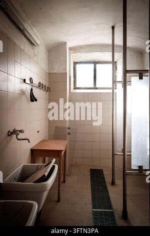Duschraum-Interieur mit Fliesenwänden, Waschbecken, Bank, Abfluss, Haken, Trennwand und Fenster Stockfoto