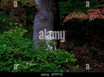 Eine lebensgroße, weiße Kunststoff-Skelett-Requisite, die am Fuße eines großen Baumes in einer Wald- oder Gartenszene platziert ist, umgeben von grünen Büschen und au Stockfoto