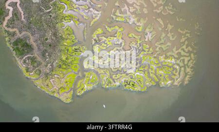 Luftbild von Salzmarsch-Mustern mit kunstvollen grünen Vegetationskanälen und Gezeitenwatten in Essex, Vereinigtes Königreich. Stockfoto