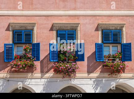 Sibiu, Rumänien - 15. August 2026. Drei Fenster mit offenen blauen Holzläden und blühenden rosa Blumen an einer weichen rosa Gebäudewand im historischen Altstadttrakt Stockfoto