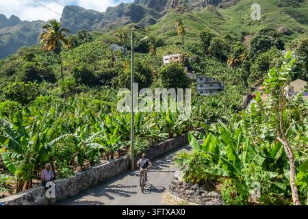 Radfahrer fährt auf gepflasterter Straße durch eine Bananenplantage in Santo Antao Stockfoto