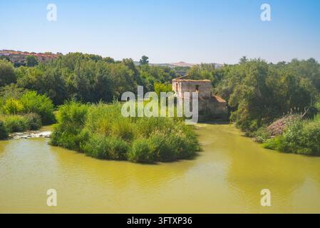 Blick auf den Guadalquivir von der römischen Brücke in der Stadt Cordoba Stockfoto