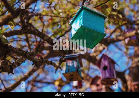 Dach eines mit Teal gestrichenen Vogelhäuschens aus Holz und mehrere farbenfrohe Nistkästen, die in einem Baumkronendach hängen. Stockfoto
