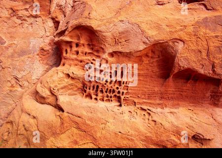 Nahaufnahme mit der komplizierten Textur und den natürlichen Erosionsmustern auf Sandstein im Fiery Furnace, Arches National Park, Utah Stockfoto
