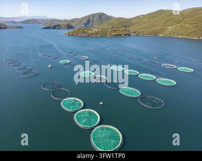 Albanien, Shpor 2026 10 04: Luftbild der Kilic-Fischfarm mit kreisförmigen Aquakulturbecken in einem See, von oben aufgenommen. Stockfoto