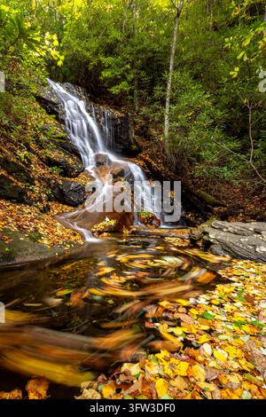 Rundwege aus Herbstblättern unterhalb der Log Hollow Falls, Pisgah National Forest in der Nähe von Brevard, North Carolina, USA Stockfoto