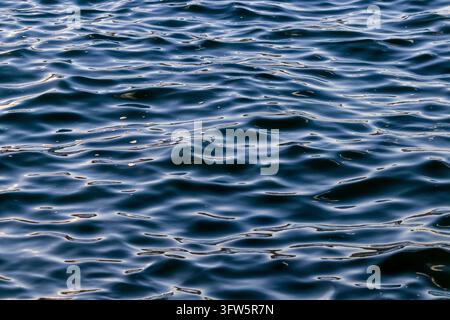 Blaue Ozeanwasseroberfläche mit sanften Wellen und Sonnenlichtreflexionen, abstrakte Meerestextur Stockfoto