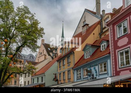 Historische Gildenhäuser, Līvu-Platz in der Altstadt von Riga, Lettland Stockfoto