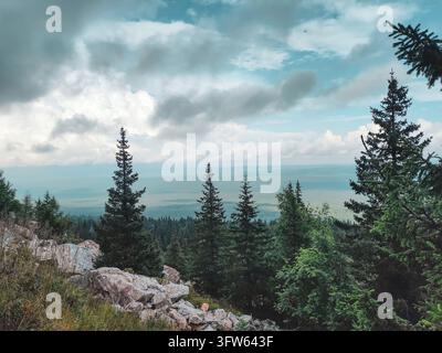 Eine Ansicht von einem felsigen Hang. Im Vordergrund heben sich mehrere dunkle Nadelbäume und hell gefärbte, mit Gras bedeckte Steine ab. Hinter ihnen ein Ende Stockfoto