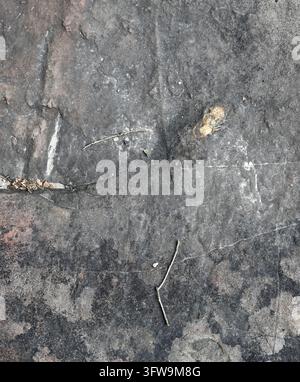 Gesprenkelte graue Felsbrockenoberfläche mit rauer, poröser geologischer Textur, natürlichen Rissen, weißen Mineralablagerungen, rosiger und weißer Färbung, gelber Oberfläche Stockfoto