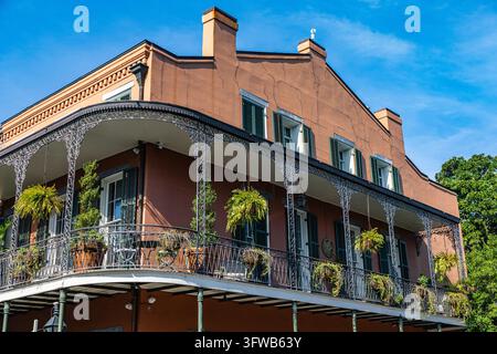 Historisches Gebäude im French Quarter in New Orleans, Louisiana, USA, mit kunstvollen schmiedeeisernen Balkonen, grünen Fensterläden, hängenden Farnen und Tradition Stockfoto