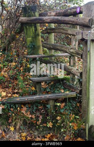 Wackeliger Treppenabsatz in der Mount Pleasant Lane, Kingcombe Meadows National Nature Reserve, Dorset, UK Stockfoto