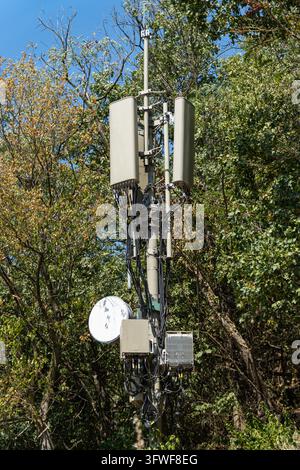 Ansicht eines Mobilfunkmastes mit Paneantennen, Mikrowellenschüssel und Kabeln mitten in einem Sommerwald in Szigliget, Ungarn, unter einem klaren blu Stockfoto