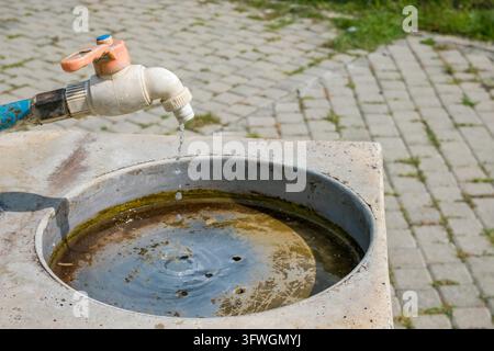 Außenwasserhahn tropft in ein verwittertes Metallbecken neben einem gepflasterten Gehweg, mit Algen, Wellen und grünem Gras bei Tageslicht sichtbar Stockfoto
