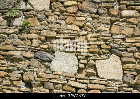 Verwitterte Steinmauer aus unregelmäßigen hellbraunen und grauen Steinen, mit rauem Mörtel, Rissen, Ranken und grünem Blattwachstum Stockfoto