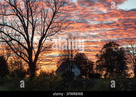 Rosa Sonnenuntergangswolken erhellen den Himmel über einem Haus, das teilweise von silhouettierten Bäumen verdeckt ist, und schaffen eine dramatische, stimmungsvolle Abendszene. Stockfoto