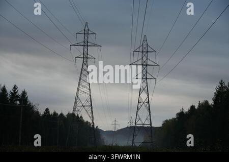 Zwei Stahlgitter-Freileitungsmasten tragen mehrere Hochspannungsleitungen durch einen Waldkorridor unter einem dunklen bewölkten Himmel mit niedrigem Nebel im Stockfoto