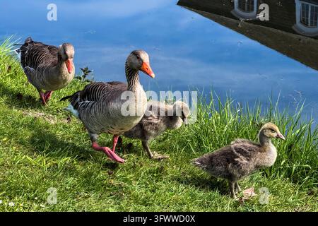 Schloss Nordkirchen in einem Parkland aus dem 18. Jahrhundert Das Versailles des Münsterlands, eines der schönsten Barockschlösser in Deutschland, Nordk Stockfoto