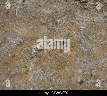 Raue, gesprenkelte Betonplatte mit sichtbarem Zuschlag, ein großer diagonaler Riss, der von der unteren linken Ecke aufsteigt, kleinere Oberflächensprünge Stockfoto