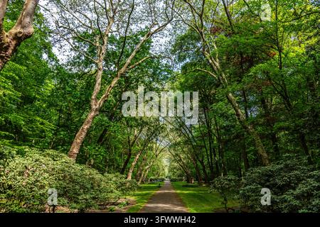 Schloss Nordkirchen in einem Parkland aus dem 18. Jahrhundert Das Versailles des Münsterlands, eines der schönsten Barockschlösser in Deutschland, Nordk Stockfoto