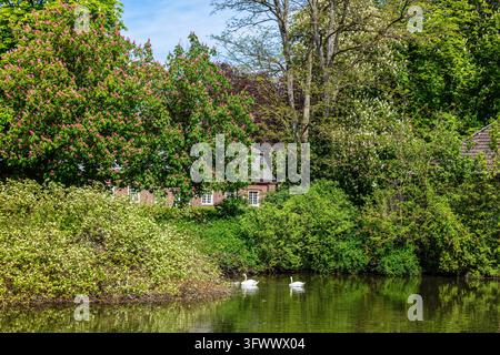 Schloss Nordkirchen in einem Parkland aus dem 18. Jahrhundert Das Versailles des Münsterlands, eines der schönsten Barockschlösser in Deutschland, Nordk Stockfoto