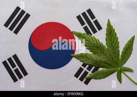 Flagge Südkoreas Nahaufnahme und frisches Cannabisblatt. Illegale Anbau und Verbreitung. Medizinische Nutzung. Stockfoto