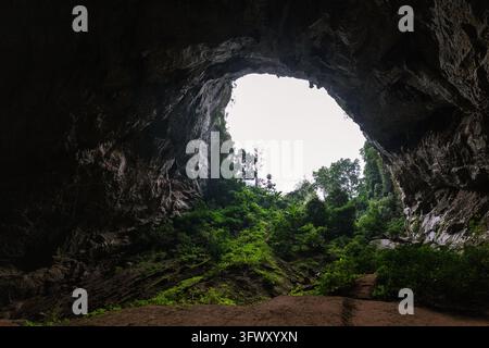 Phong Nha, Vietnam - 5. Januar 2026: Blick aus einer großen Höhle hinaus auf ein bewaldetes Gebiet mit grüner Vegetation und Bäumen unter einem hellen Himmel. Stockfoto