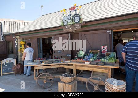 Äußere Ansicht des Diddly Squat Farm Shop, Chipping Norton, West Oxfordshire. Stockfoto