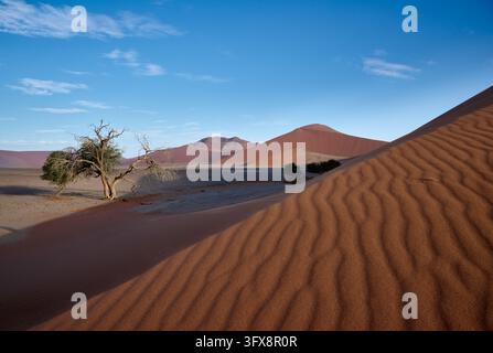 Starker Wind über Sanddünen der Namib-Wüste, Namibia, Afrika |starker Wind über den Sanddünen der Namib-Wüste, Namibia, Afrika| Stockfoto