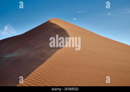Starker Wind über Sanddünen der Namib-Wüste, Namibia, Afrika |starker Wind über den Sanddünen der Namib-Wüste, Namibia, Afrika| Stockfoto