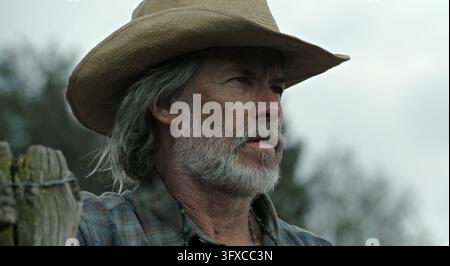 Die Hundesterne  Guy Pearce Stockfoto